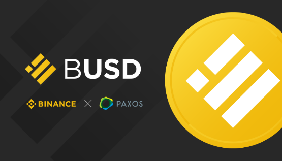 BUSD Coin